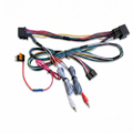 TH Ford S4 – Plug and Play T Harness